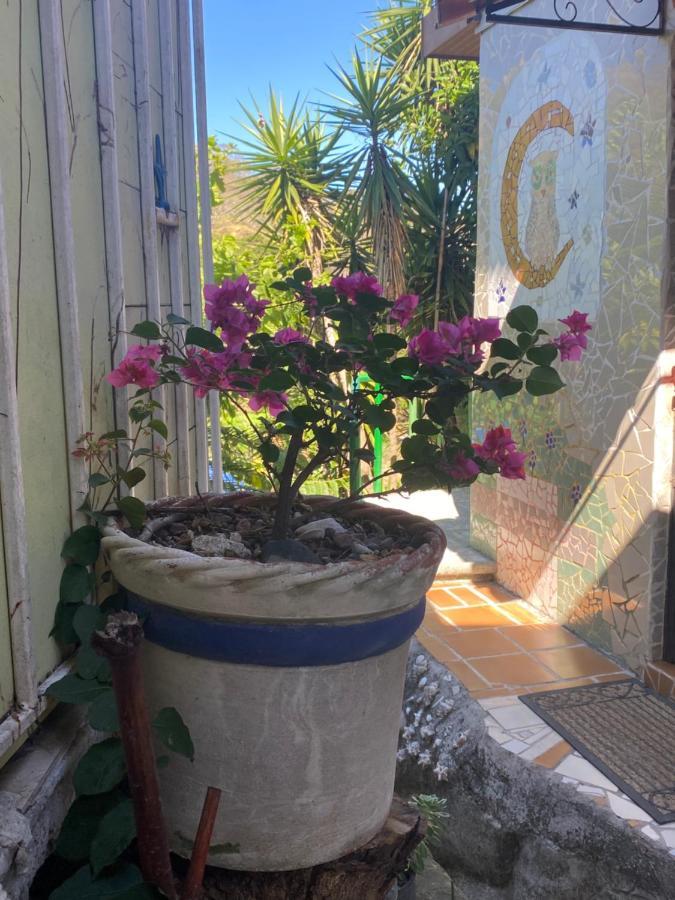 فندق Owl House Piedades المظهر الخارجي الصورة